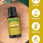 Frankincense Essential Oil
